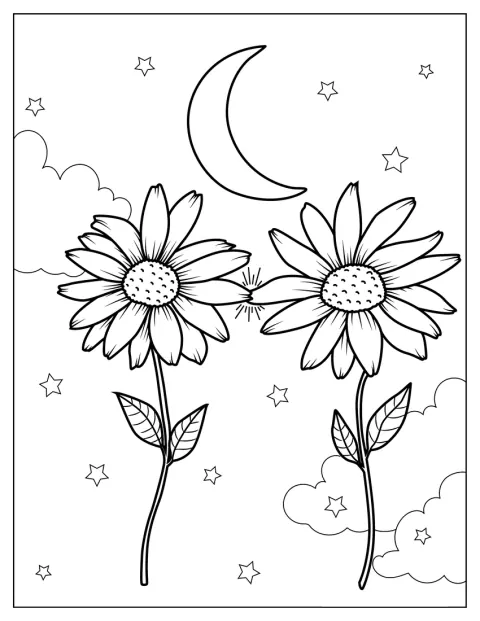 Deux marguerites rapprochent leurs pétales.