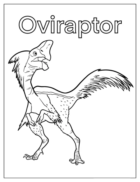 En Oviraptor springer fram över marken.