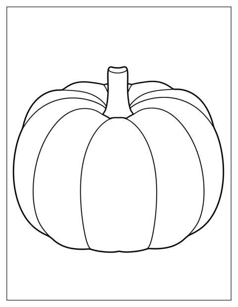 Una zucca dalle forme essenziali è raffigurata da sola.