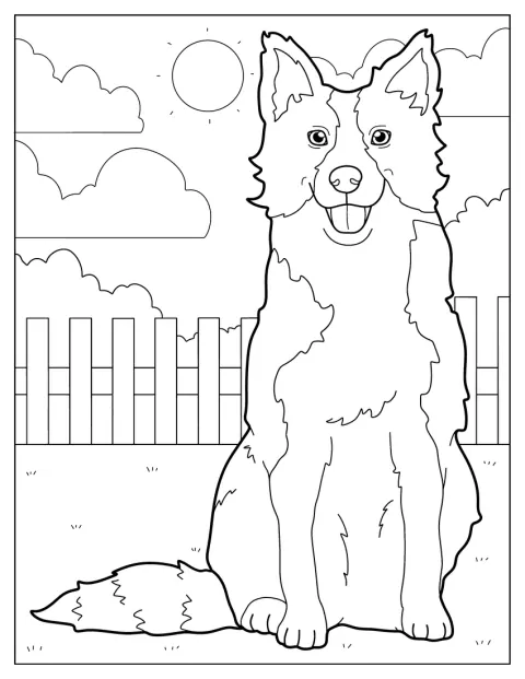 Um Border Collie está no quintal, rodeado pelo espaço exterior.