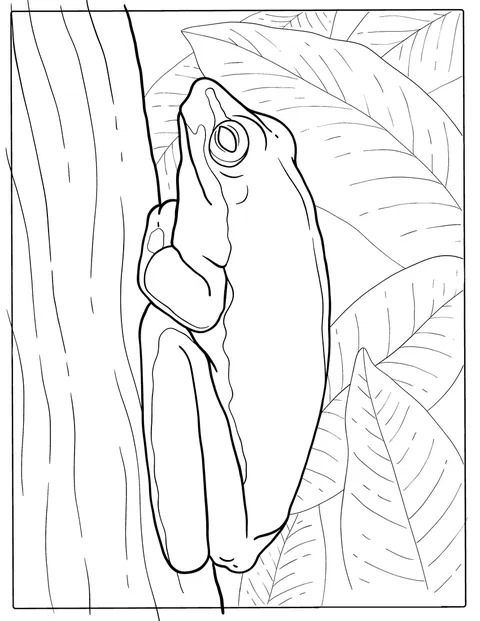 Green Tree Frog On Tree To Color