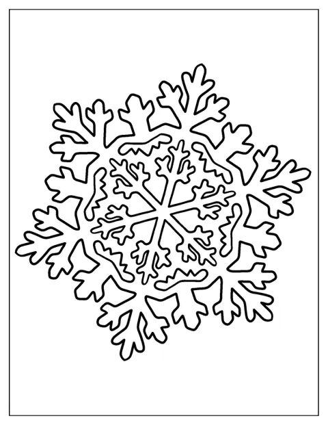 En kristallformad snöflinga visar sina många spetsiga detaljer.