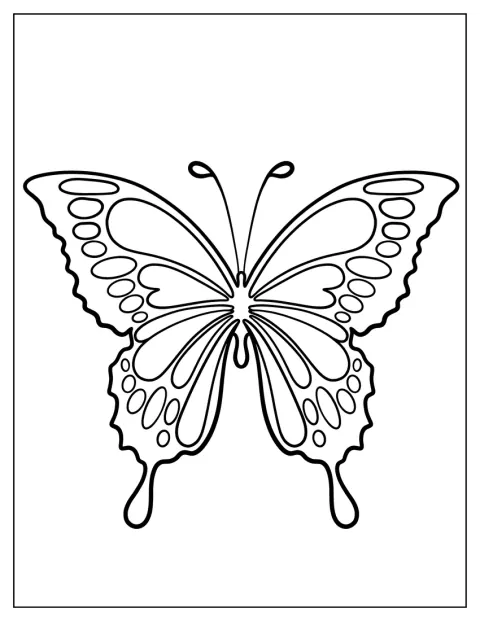 Der Schwalbenschwanz ist in einer schlichten Umrisszeichnung zu sehen.