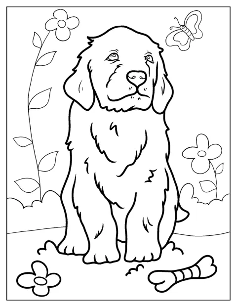 En golden retriever-valp sitter og ser ut i det fjerne.