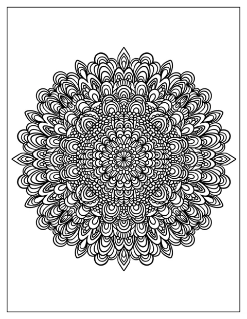 Une fleur complexe dévoile des pétales couverts de motifs minutieux.