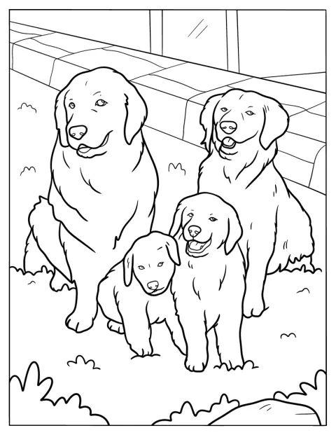 Una familia de golden retrievers está reunida en el jardín trasero.