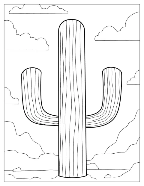 Un cactus saguaro solitario muestra sus brazos erguidos.