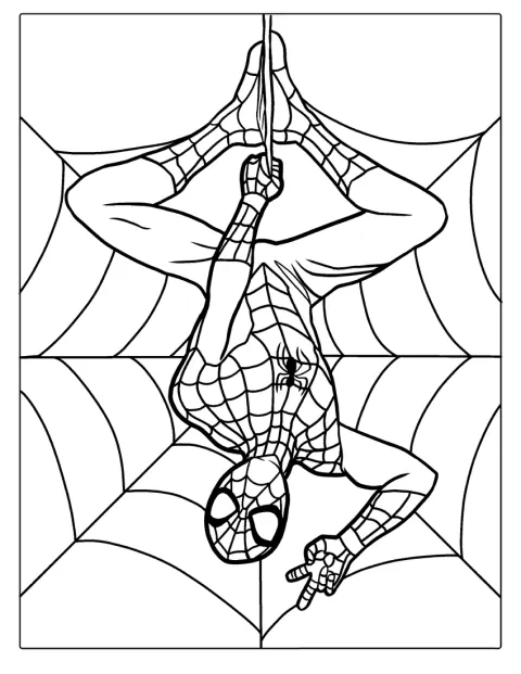 Spider-Man hänger upp och ner från sitt spindelnät.