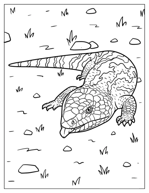 Een geschubde blauwtongskink loopt over de grond.