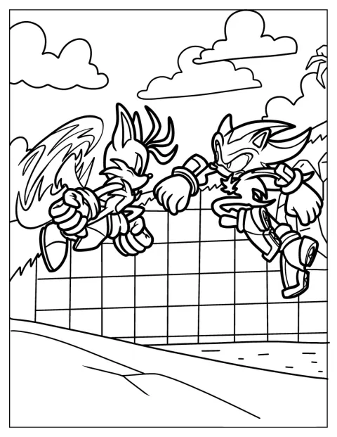 Tails se enfrenta a Shadow en plena lucha.