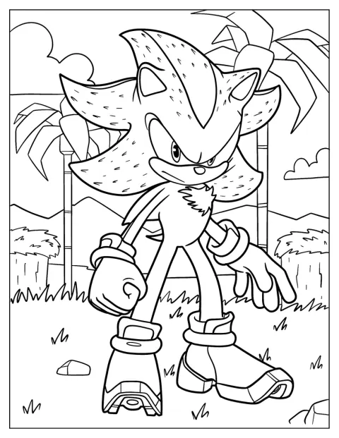 Shadow the Hedgehog stoi na Angel Island.