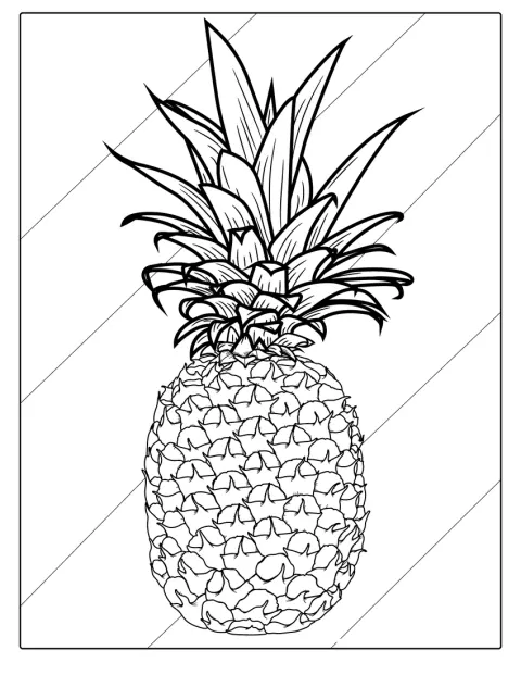 葉のついたパイナップルが一つ描かれています。