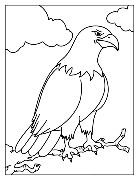 翼を広げたハクトウワシの姿が、輪郭線で描かれています。