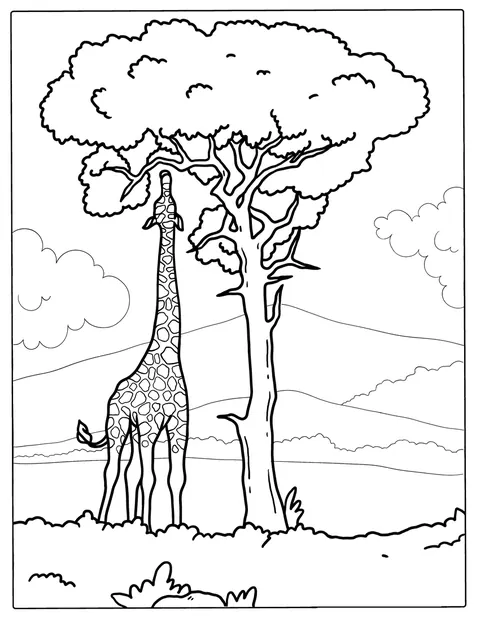 Una giraffa allunga il collo per mangiare le foglie da un albero.