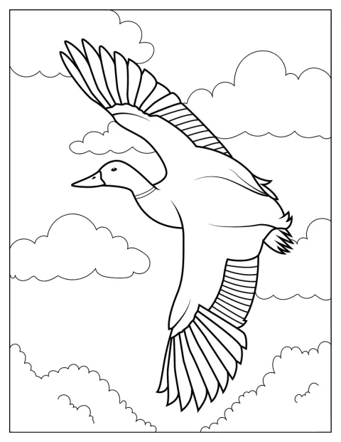 Un pato extiende las alas mientras vuela por el cielo.