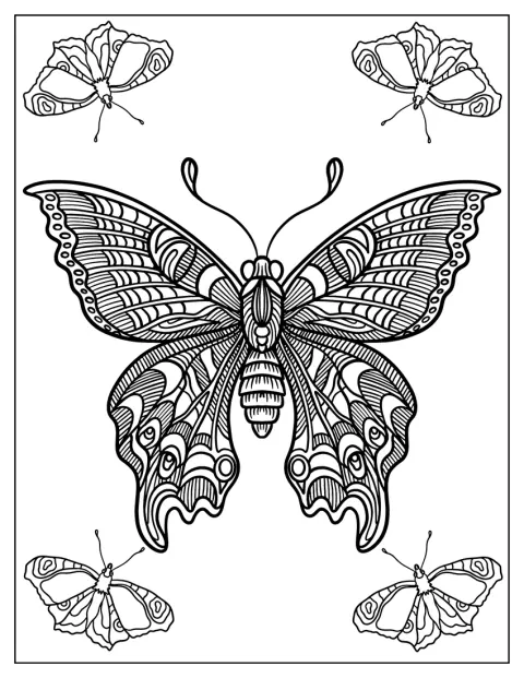 En sommerfugl har intrikate zentangle-mønstre på vingene.