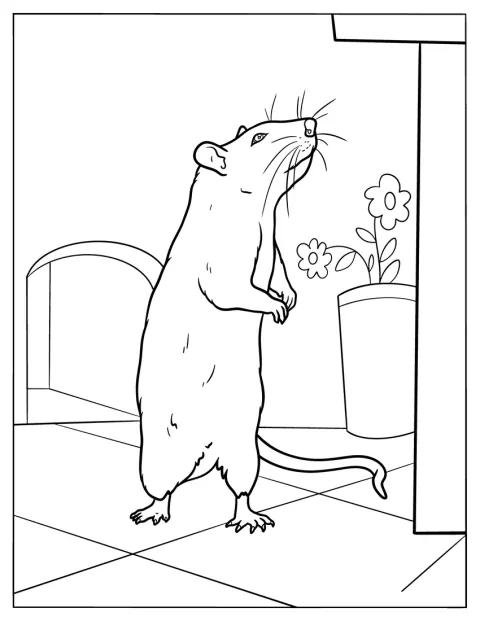 Un rat réaliste se tient debout, les pattes posées au sol.