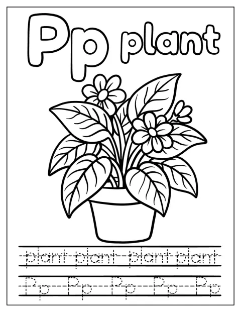 La lettre P à suivre avec un crayon est accompagnée d’une plante.