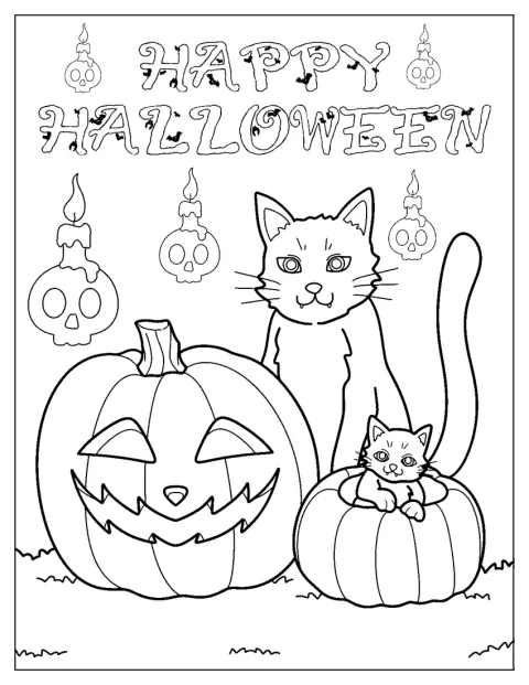 Kissat istuvat kurpitsojen keskellä halloween-tunnelmissa.