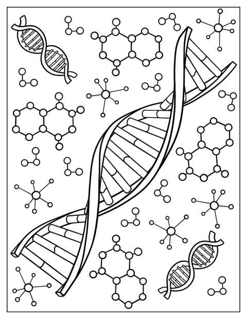 二重らせんを描いたDNAの図が並んでいます。