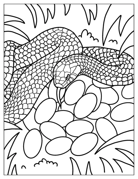 Mother Snake Protecting Eggs