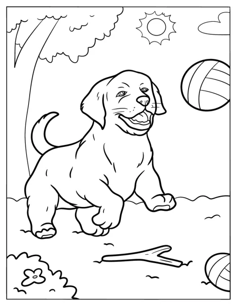 En golden retriever springer efter en boll.