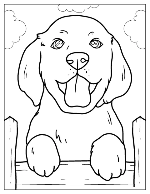 Le visage d'un chiot labrador est montré en gros plan.