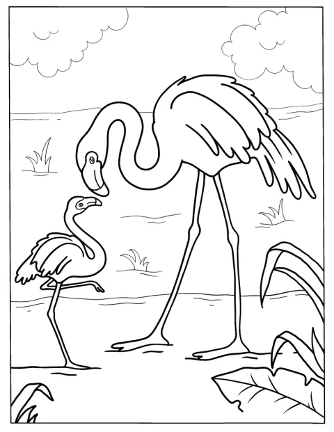 Um flamingo adulto acompanha a sua cria enquanto ambos estão na água.