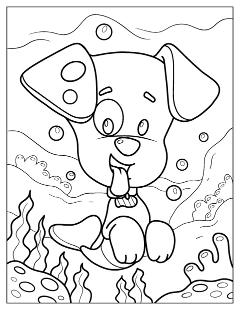 O cachorrinho Bubble, de aspeto fofo, está sentado.