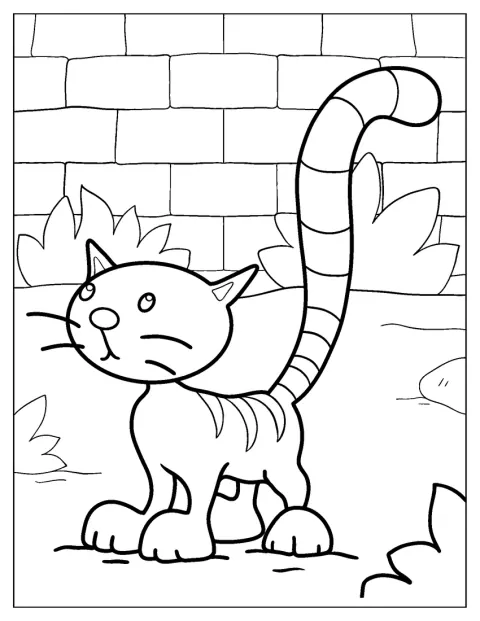Pilchard sitzt ruhig da und schaut nach vorn.