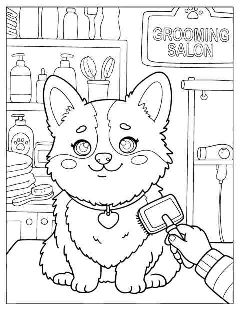 Im Hundesalon wird ein Corgi gerade gepflegt.