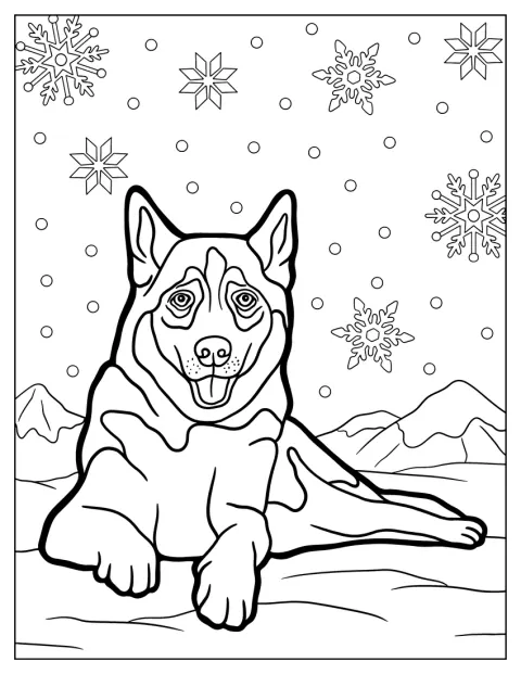 Un husky adulto reposa tranquilamente sobre la nieve.