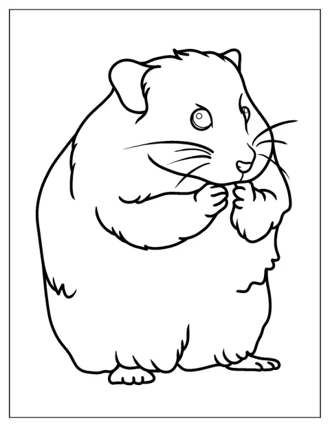 En detaljert kontur viser en naturtro hamster.