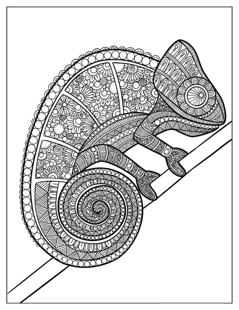カメレオンの形をした曼荼羅に、細かな幾何学模様が描かれています。
