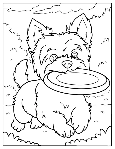 Num dia soalheiro, um Yorkie corre com um frisbee na boca.