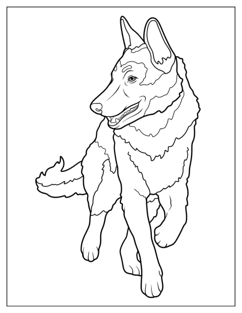 Un pastor alemán camina tranquilamente.