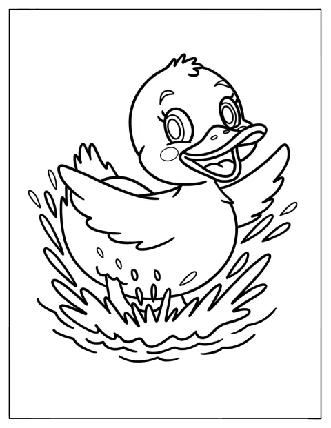 Dans l’eau, un canard joyeux éclabousse autour de lui en s’amusant.