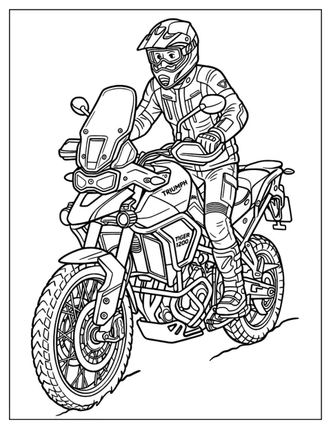 En förare sitter på en Triumph Tiger 1200 vid en äventyrstur.