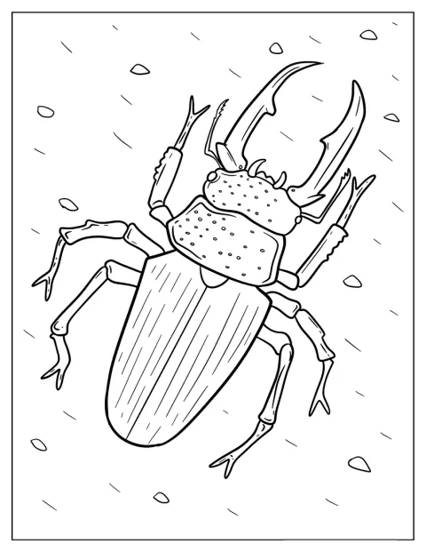 表面の模様まで描かれたクワガタムシが、こちらを向いています。