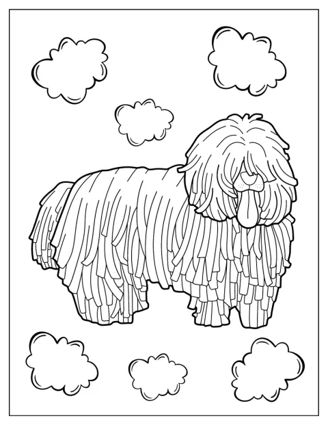 Un perro komondor aparece con su abundante pelo largo.