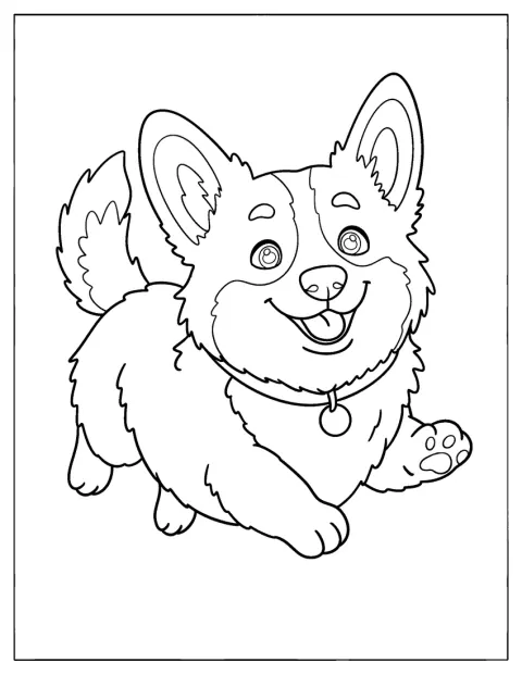 En corgi løper av gårde mens den leker.