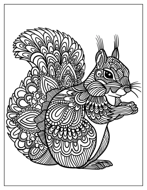 Um esquilo adorável está rodeado por padrões decorativos de mandala.