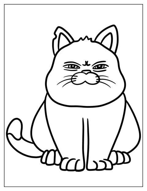 猫のマキャヴェッリが座ってこちらを見ています。