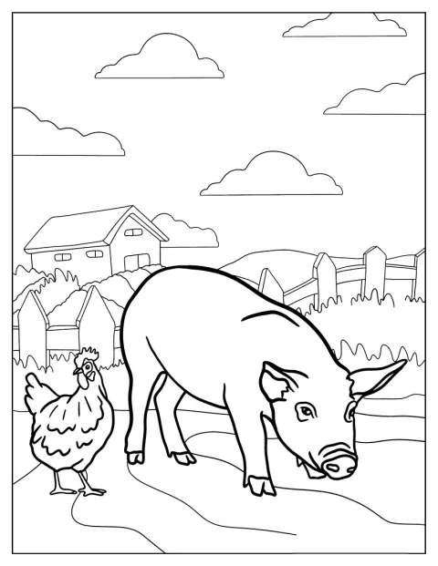 Prase stojí vedle slepice na farmě.