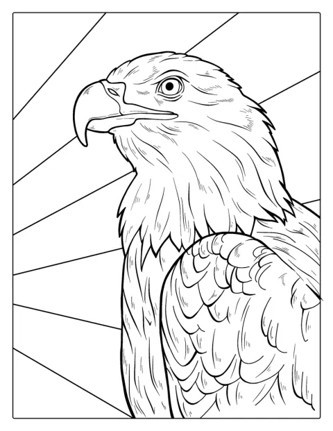Un águila calva aparece dibujada con mucho detalle.