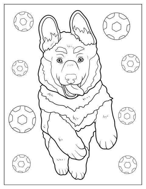 O cão salta alegremente, com a língua de fora.