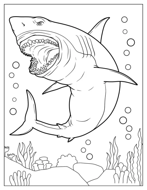 Un grand requin blanc nage la gueule grande ouverte.