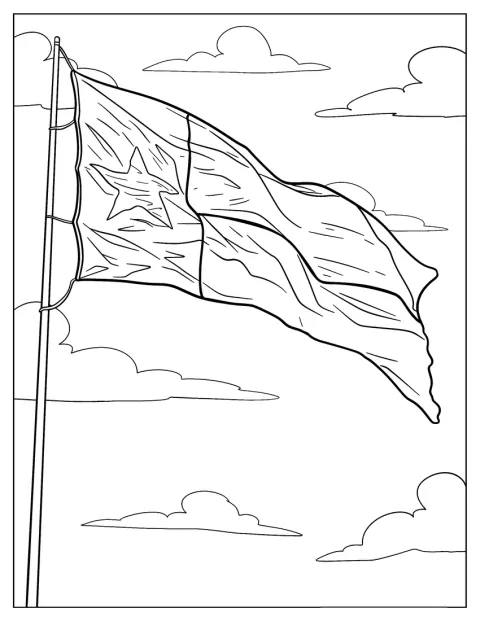 Le drapeau du Texas présente une étoile blanche et deux bandes colorées.