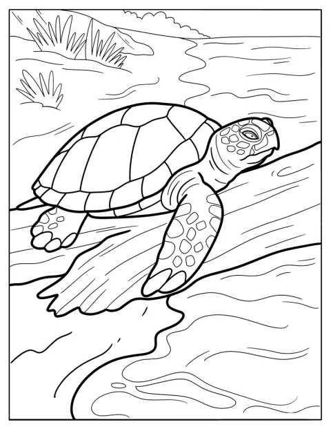 Een oude schildpad klimt op een tak boven een rivier.