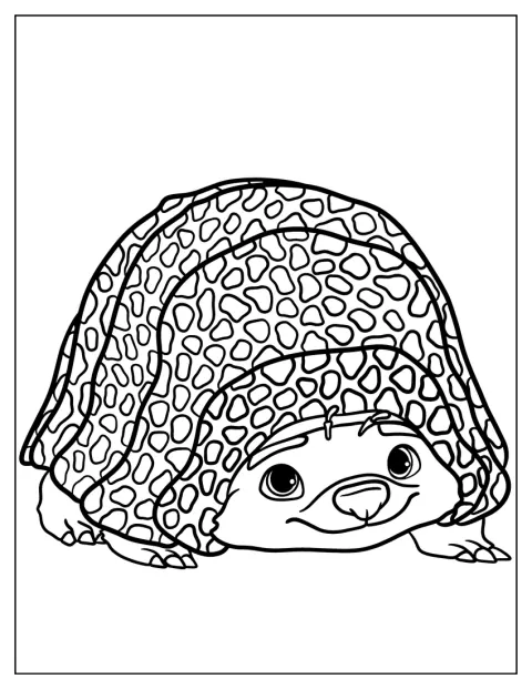 Tuk Tuk, l’armadillo, è raffigurato in posa.